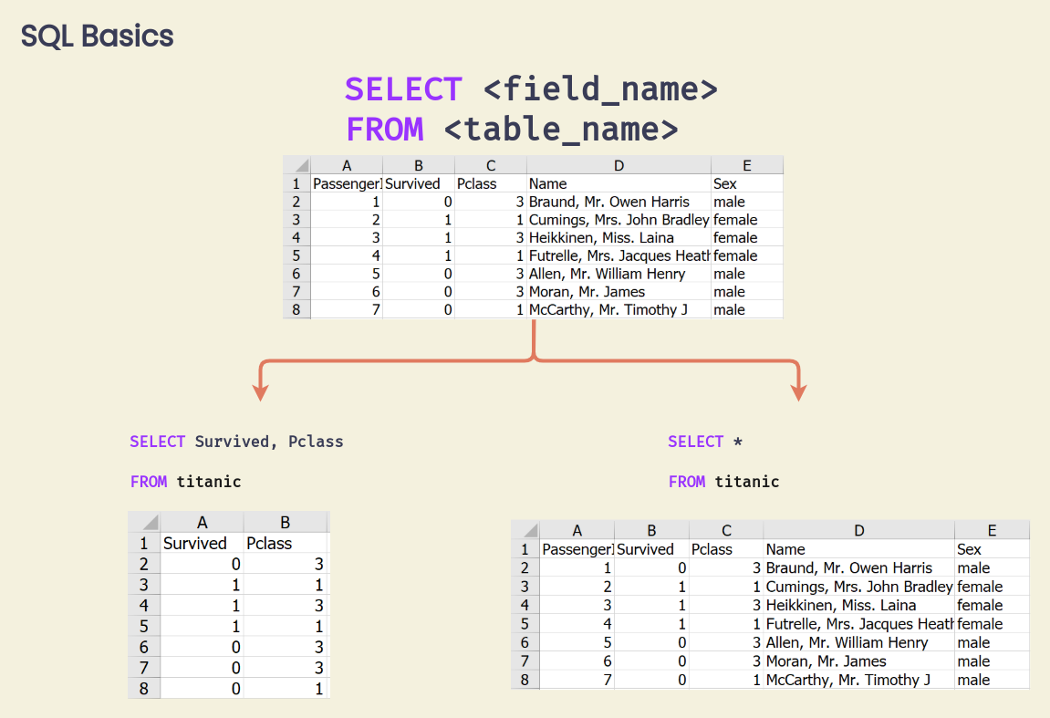 SQL Basics